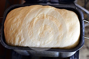 Dumpling dough just leavened