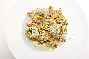 Dumplings with chanterelle ragout on a white plate