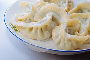 Dumplings for Chinese New Year
