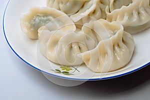 Dumplings for Chinese New Year