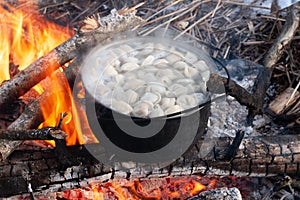 dumplings are cooked in campfire