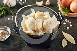 Dumplings Jiaozi, Dimsum, Momo or Ha Gao