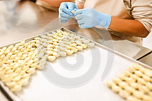 Dumplings manufacturing process. Hands of employers in blue rubber gloves and damplings on tray covered with wax paper