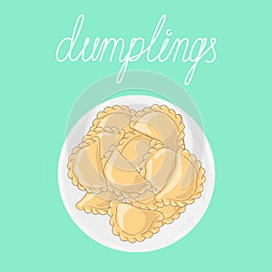 Dumplings pierogi, varenyky, pelmeni on a plate. Vector hand drawn illustration.