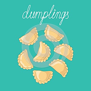 Dumplings pierogi, varenyky, pelmeni set. Vector hand drawn illustration.