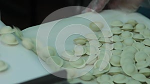 Dumplings production line at the plant, Russian production, close-up