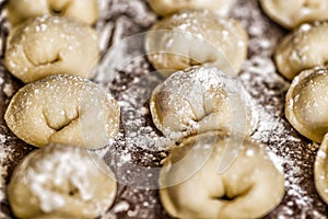 Dumplings in raws on a wooden table covered with flour