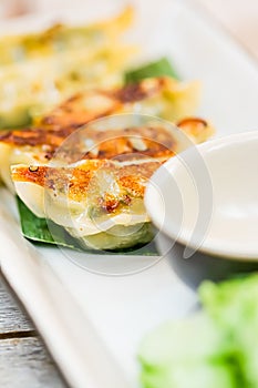 Dumplings with spinach, gyoza served as appetizer on plate in luxury asian restaurant, japanese food and vegetarian menu