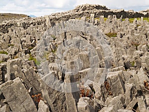 Dun Angus fort, Inishmore