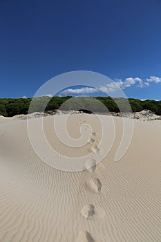 The Duna de Bolonia, Costa de la luz