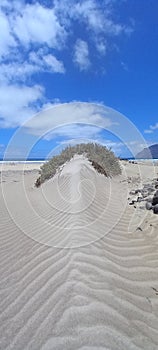 Duna di finissima sabbia bianca, spiaggia di Famara, isole Canarie. photo