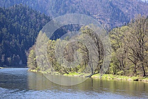 Dunajec River Gorge, bank of the river, Szczawnica, Poland