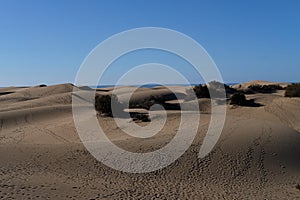 Dunas de Maspalomas