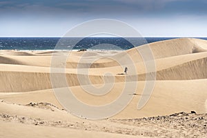 Dunas de Maspalomas photo