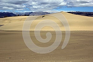 Dunas de Maspalomas photo