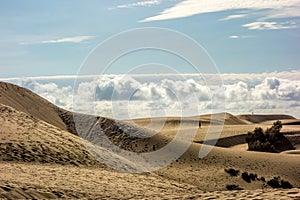 Dunas de Maspalomas on Gran Canaria, Canary Islands, Spain