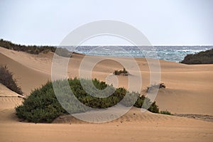 Dunas de Maspalomas - Gran Canaria - Spain - at storm - gray sea