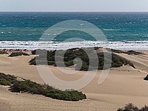 Dunas de Maspalomas, sand dunes of Maspalomas, in the south of Gran Canaria