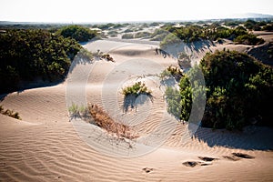 Dunas del desierto con ondasDesert dunes with waves photo