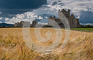 Dunbrody Abbey