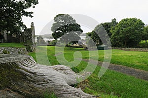 Dundrum Castle