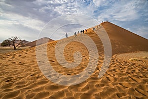 Dune 45 Namibia