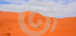 The dune 45 of Namibia in Namib-Naukluft National