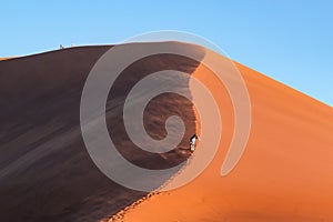 Dune 45 at sunset in the Namib Desert, Namibia