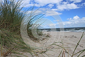 Dune of the Baltic Sea beach, Poland