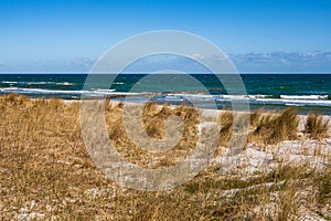 Dune on the Baltic Sea coast in Zingst, Germany