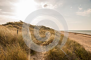 Dune beach coastline in back light