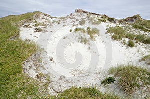 Dune blowout with Marram Grass