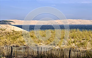 Dune of Cap-Ferret in France photo
