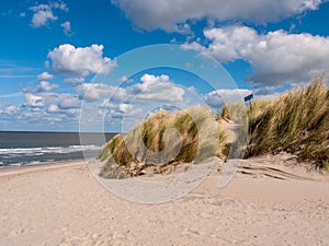 Dune covered with grass in the front of the noth sea