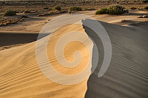 Dune crest and fixed sands