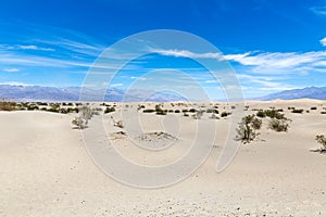 Dune in Death Valley National Park, California, Nevada, USA