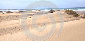 Dune di sabbia desertica in spiaggia photo