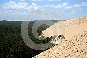 Dune du Pyla in Arcachon, France