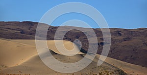 The dune Eureka at dawn