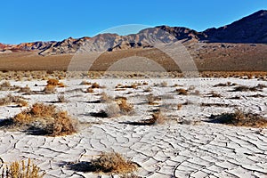 The dune Eureka in Dead Walley photo