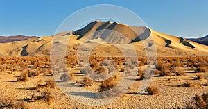 The dune Eureka on sunrise