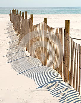 Dune Fence on Beach photo