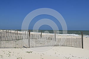 Dune Fences on the Beach