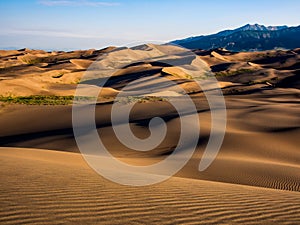 Dune Field at Sunset/Sunrise