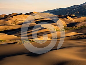 Dune Field at Sunset/Sunrise