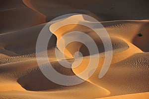 Dune formations in Rub al Khali photo