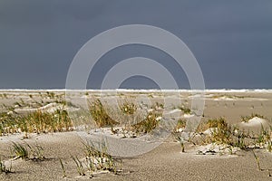 Dune forming on a stormy beach