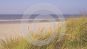 Dune grass, empty beach and sea