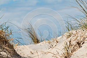Dune, dune grass, dune landscape