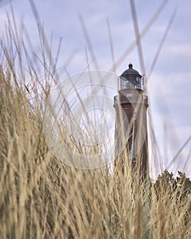 Dune grass with lighthouse in the background near Prerow, Fischland-Darss-Zingst photo